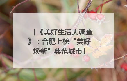 《美好生活大调查》：合肥上榜“美好焕新”典范城市