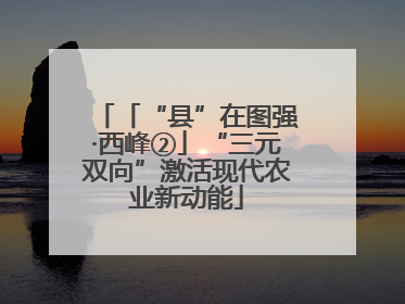 「“县”在图强·西峰②」“三元双向”激活现代农业新动能