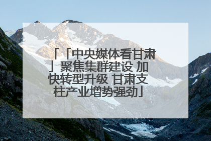 「中央媒体看甘肃」聚焦集群建设 加快转型升级 甘肃支柱产业增势强劲