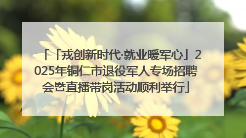 「戎创新时代·就业暖军心」2025年铜仁市退役军人专场招聘会暨直播带岗活动顺利举行