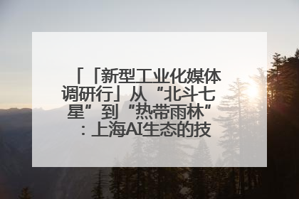 「新型工业化媒体调研行」从“北斗七星”到“热带雨林”：上海AI生态的技术商业共生密码