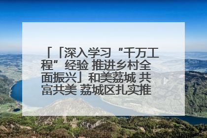 「深入学习“千万工程”经验 推进乡村全面振兴」和美荔城 共富共美 荔城区扎实推进乡村振兴工作