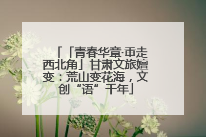 「青春华章·重走西北角」甘肃文旅嬗变：荒山变花海，文创“语”千年