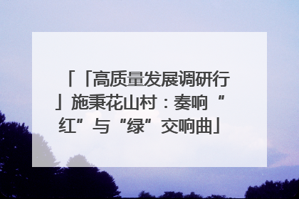 「高质量发展调研行」施秉花山村：奏响“红”与“绿”交响曲