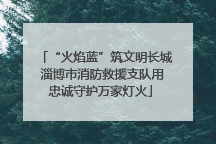 “火焰蓝”筑文明长城 淄博市消防救援支队用忠诚守护万家灯火