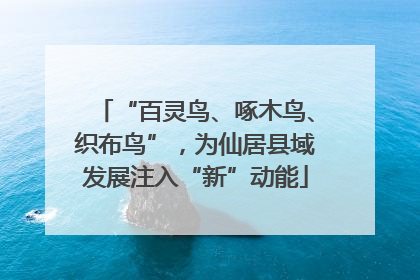 “百灵鸟、啄木鸟、织布鸟”，为仙居县域发展注入“新”动能