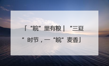 “皖”里有粮｜“三夏”时节，一“皖”麦香