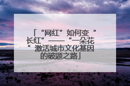 “网红”如何变“长红”——“一朵花”激活城市文化基因的破题之路