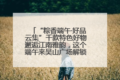 “粽香端午·好品云集”千款特色好物邂逅江南雅韵，这个端午来吴山广场解锁“浙里烟火气”
