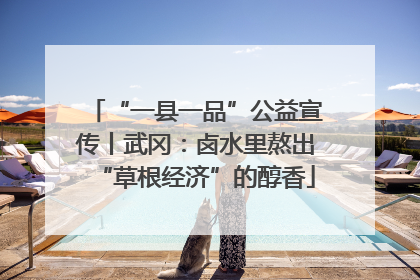 “一县一品”公益宣传丨武冈：卤水里熬出“草根经济”的醇香