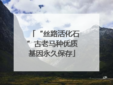 “丝路活化石”古老马种优质基因永久保存