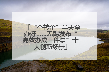 “个转企”半天全办好……无锡发布“高效办成一件事”十大创新场景
