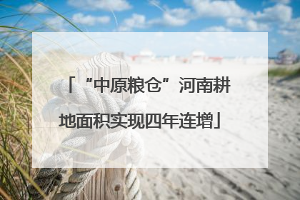 “中原粮仓”河南耕地面积实现四年连增