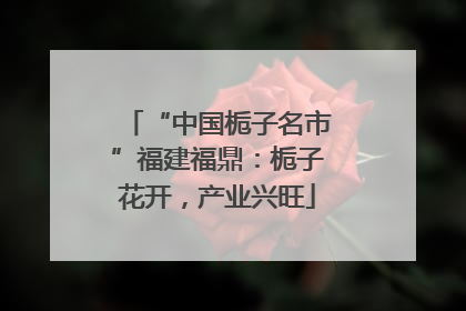 “中国栀子名市”福建福鼎：栀子花开，产业兴旺