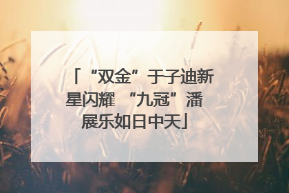 “双金”于子迪新星闪耀 “九冠”潘展乐如日中天