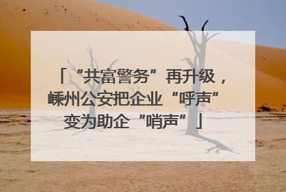 “共富警务”再升级，嵊州公安把企业“呼声”变为助企“哨声”
