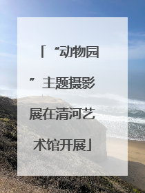 “动物园”主题摄影展在清河艺术馆开展