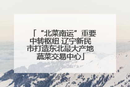 “北菜南运”重要中转枢纽 辽宁新民市打造东北最大产地蔬菜交易中心