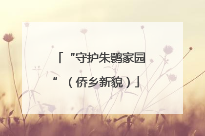 “守护朱鹮家园”（侨乡新貌）