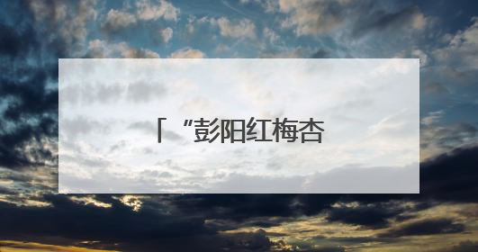 “彭阳红梅杏”从地标到金标的品牌蜕变