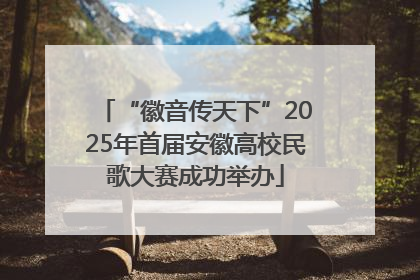 “徽音传天下”2025年首届安徽高校民歌大赛成功举办