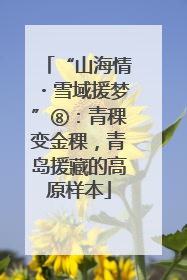 “山海情・雪域援梦”⑧：青稞变金稞，青岛援藏的高原样本
