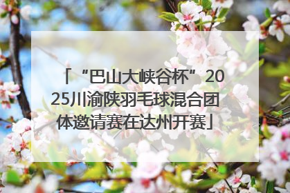 “巴山大峡谷杯”2025川渝陕羽毛球混合团体邀请赛在达州开赛