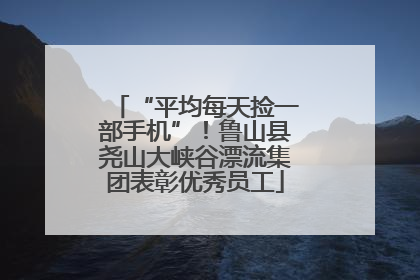 “平均每天捡一部手机”！鲁山县尧山大峡谷漂流集团表彰优秀员工