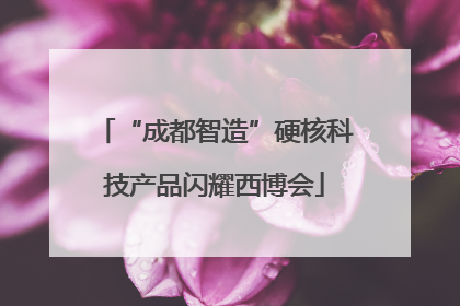 “成都智造”硬核科技产品闪耀西博会