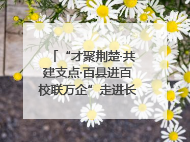 “才聚荆楚·共建支点·百县进百校联万企”走进长江大学文理学院