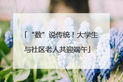 “数”说传统！大学生与社区老人共迎端午