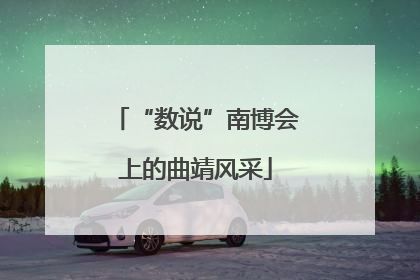 “数说”南博会上的曲靖风采