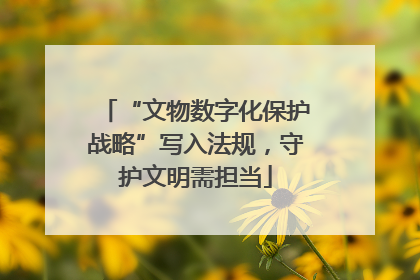 “文物数字化保护战略”写入法规，守护文明需担当