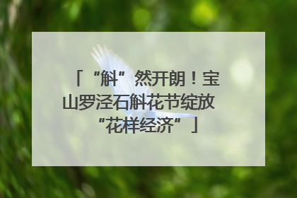 “斛”然开朗！宝山罗泾石斛花节绽放“花样经济”
