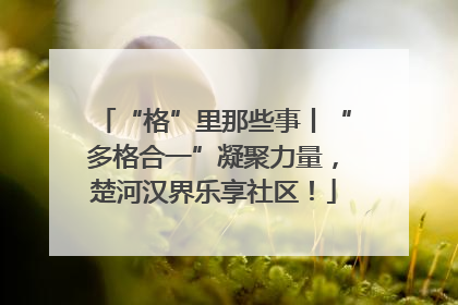 “格”里那些事丨“多格合一”凝聚力量，楚河汉界乐享社区！