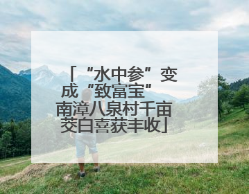 “水中参”变成“致富宝” 南漳八泉村千亩茭白喜获丰收