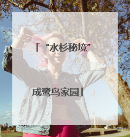 “水杉秘境”成鹭鸟家园