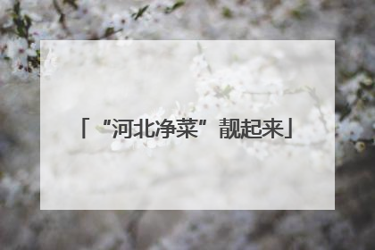“河北净菜”靓起来