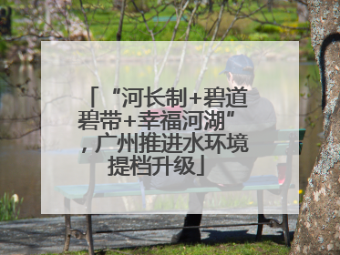 “河长制+碧道碧带+幸福河湖”，广州推进水环境提档升级