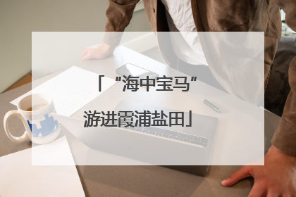 “海中宝马”游进霞浦盐田