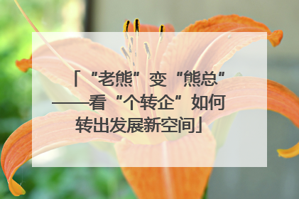 “老熊”变“熊总”——看“个转企”如何转出发展新空间
