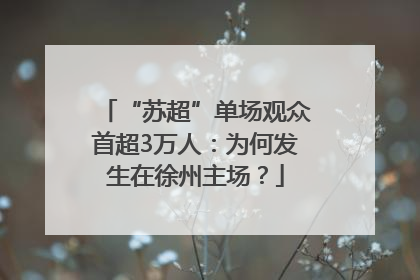 “苏超”单场观众首超3万人：为何发生在徐州主场？