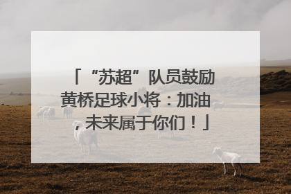 “苏超”队员鼓励黄桥足球小将：加油，未来属于你们！