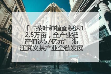 “茶叶种植面积达12.5万亩，全产业链产值达57亿元” 浙江武义茶产业全链发展“加速度”