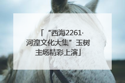 “西海2261·河湟文化大集”玉树主场精彩上演