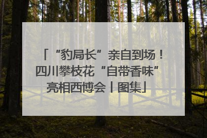 “豹局长”亲自到场！四川攀枝花“自带香味”亮相西博会丨图集