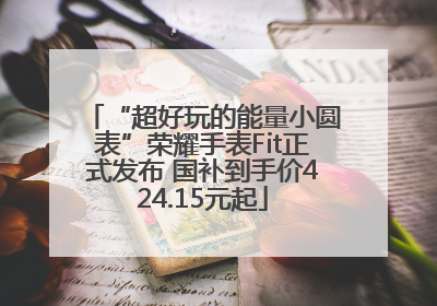 “超好玩的能量小圆表”荣耀手表Fit正式发布 国补到手价424.15元起