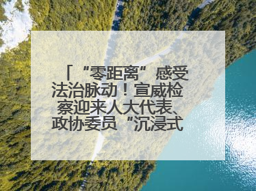 “零距离”感受法治脉动！宣威检察迎来人大代表、政协委员“沉浸式”体验