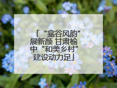“龛谷风韵”展新颜 甘肃榆中“和美乡村”建设动力足