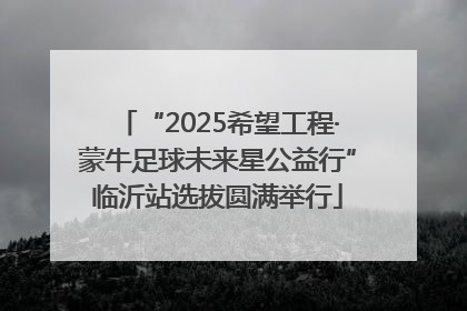 “2025希望工程·蒙牛足球未来星公益行”临沂站选拔圆满举行
